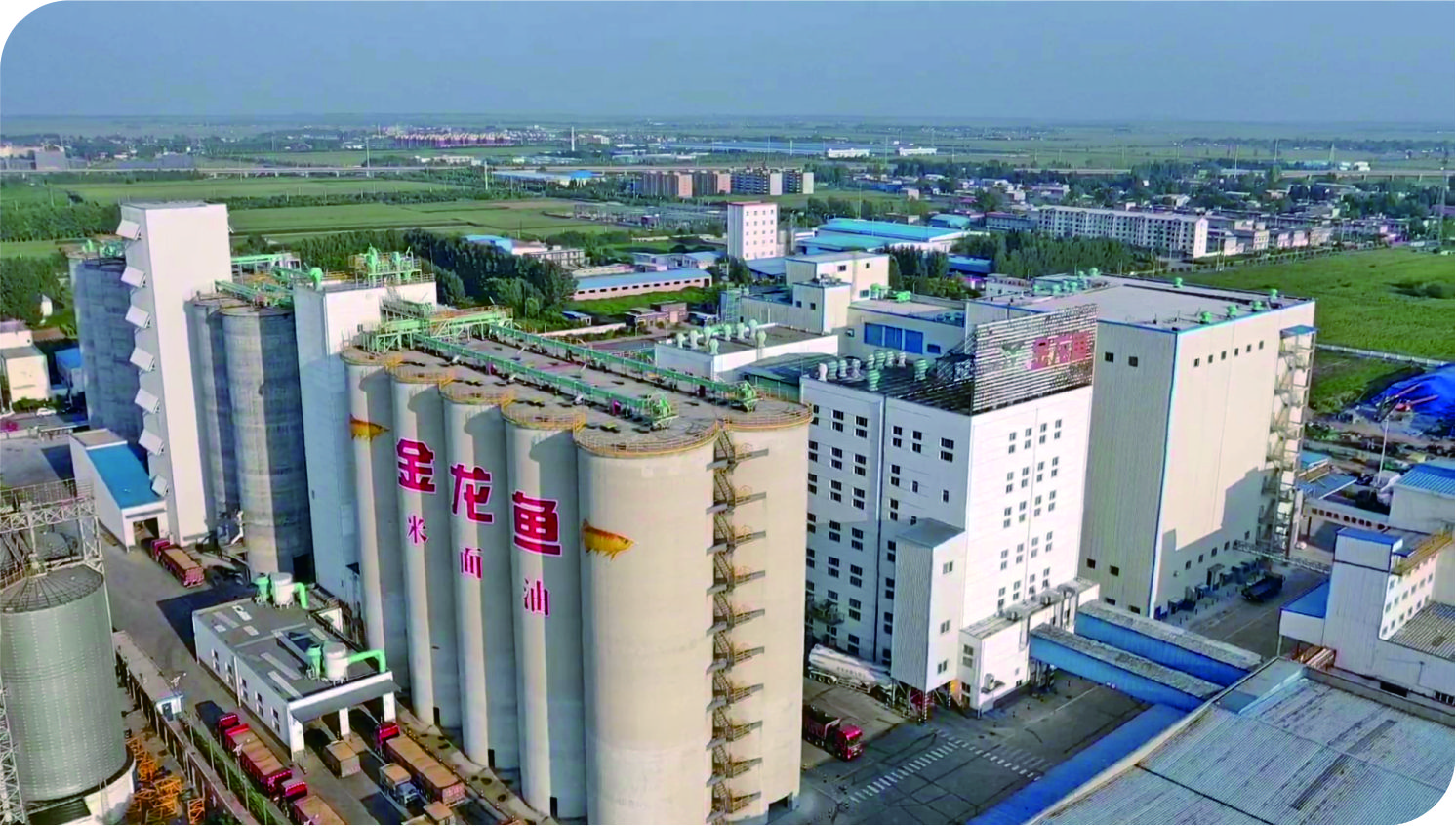 华泰承建益海嘉里油脂在线买世界杯平台-世界杯(中国)项目
